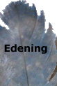 Edening